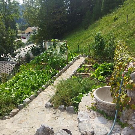 Natur Apartma Rudi Бегунье-на-Гореньскем Экстерьер фото