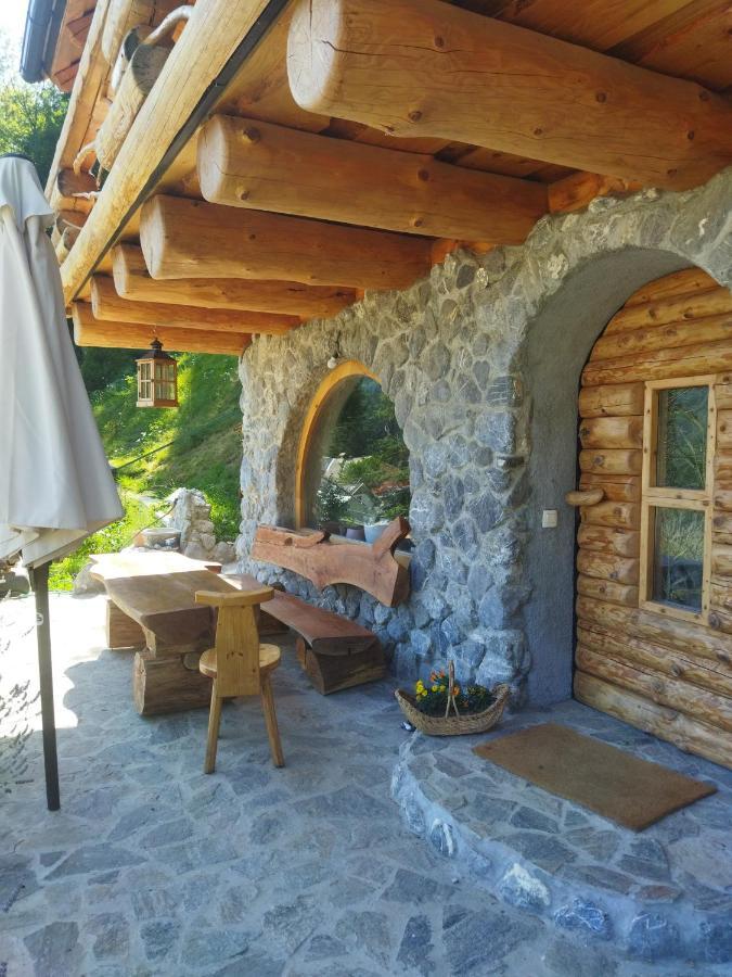 Natur Apartma Rudi Бегунье-на-Гореньскем Экстерьер фото