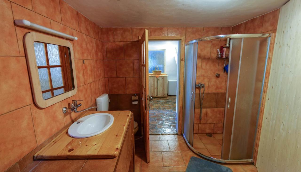 Natur Apartma Rudi Бегунье-на-Гореньскем Экстерьер фото