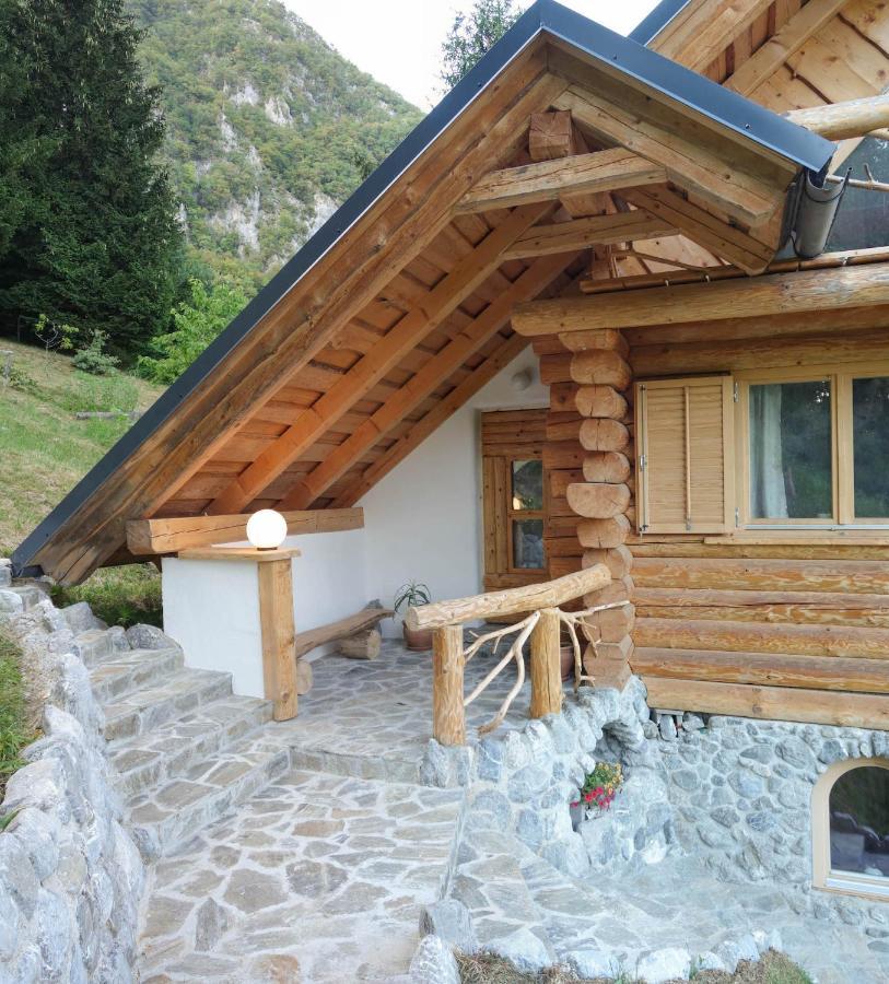 Natur Apartma Rudi Бегунье-на-Гореньскем Экстерьер фото