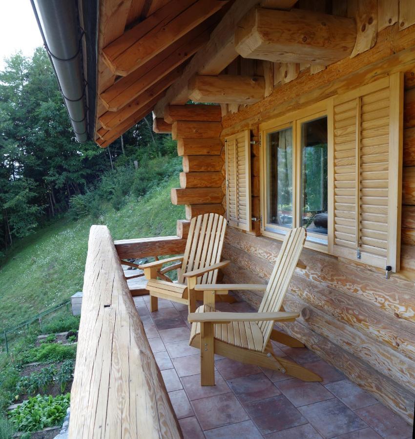 Natur Apartma Rudi Бегунье-на-Гореньскем Экстерьер фото