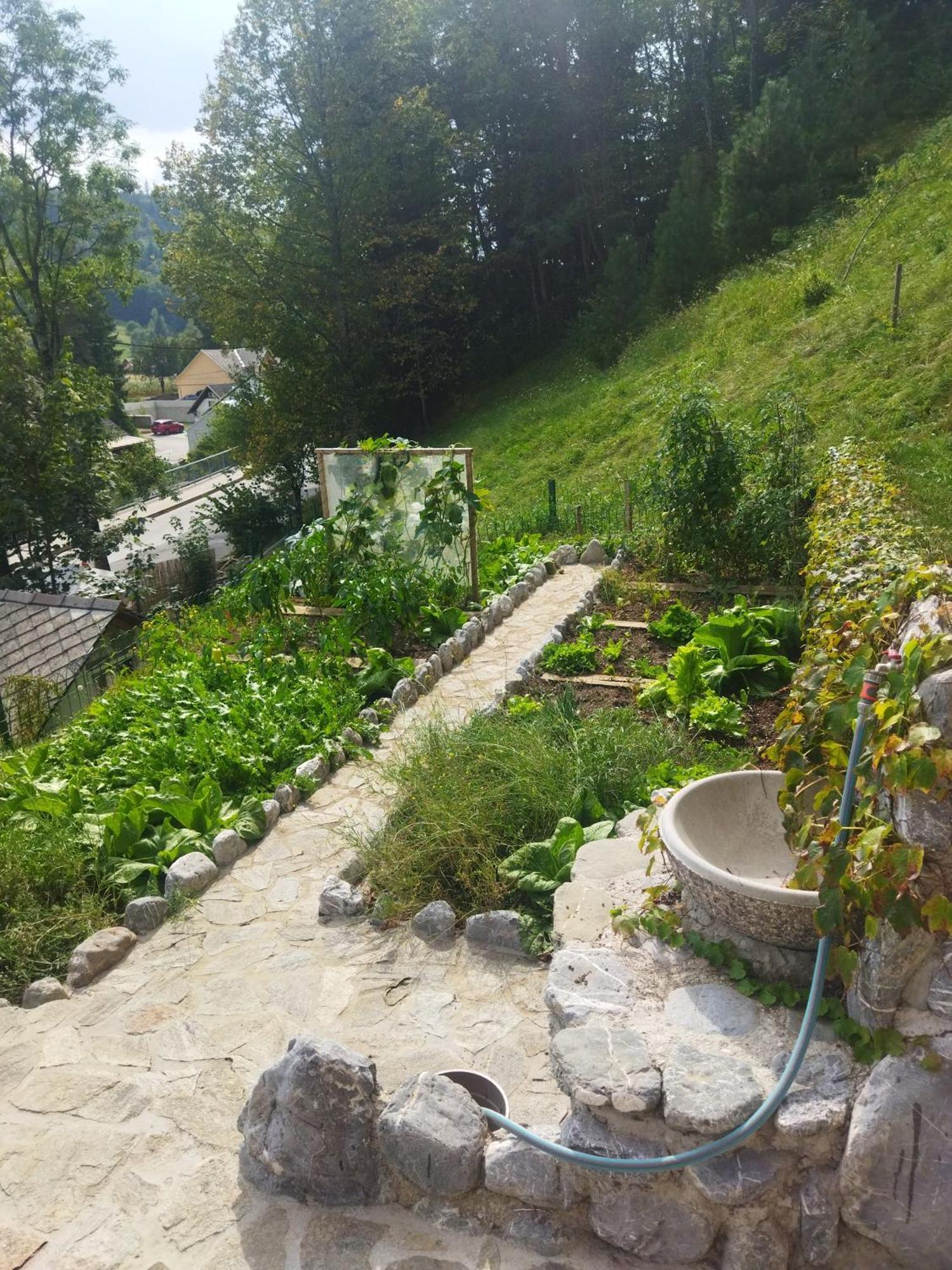 Natur Apartma Rudi Бегунье-на-Гореньскем Экстерьер фото